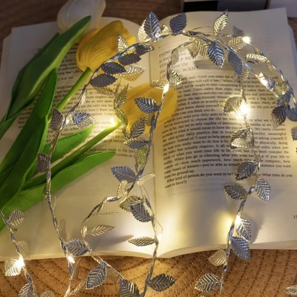 3 Metre Yaldızlı Gümüş LED Işık ürün görseli 1