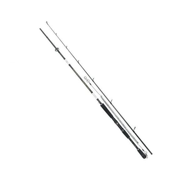SPR002144.00210 - Resim 2