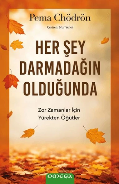 Her Şey Darmadağın Olduğunda ürün görseli 1