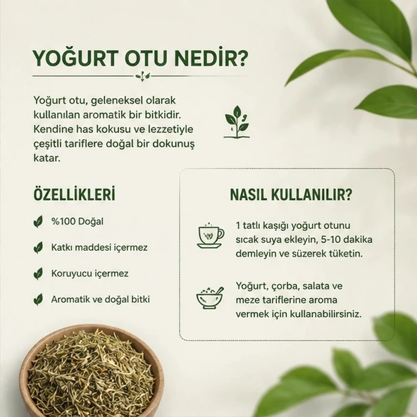 Yoğurt Otu - 2 kg - Resim 3
