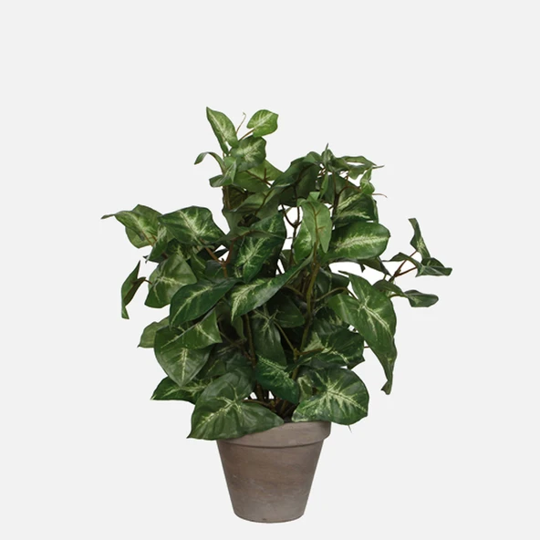 Syngonium Yapay Ağaç 35 cm ürün görseli 1
