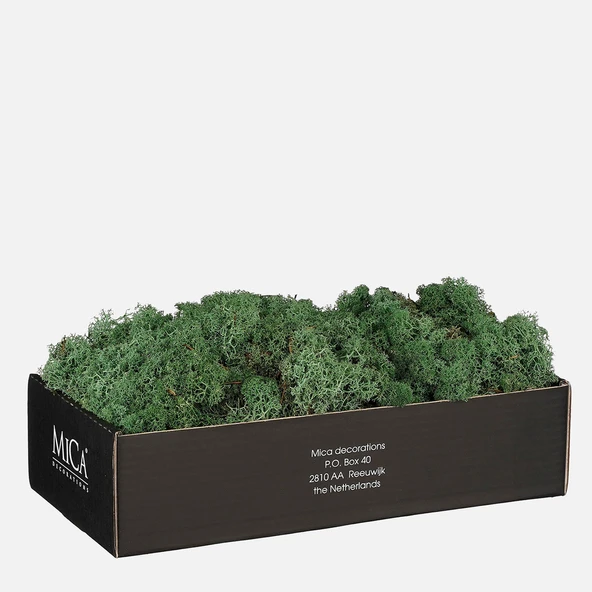 Mica Yosun Koyu Yeşil (2'li Paket) ürün görseli 1