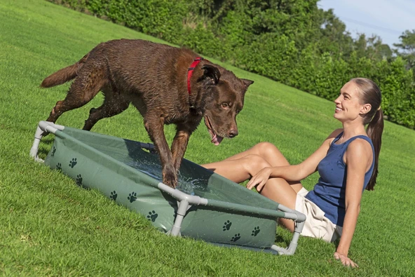 Bestway 561RG Fetchin Fun  Köpek Oyun Havuzu & Yükseltilmiş Yatak 1,02 m x 74 cm x 20 cm ürün görseli 1