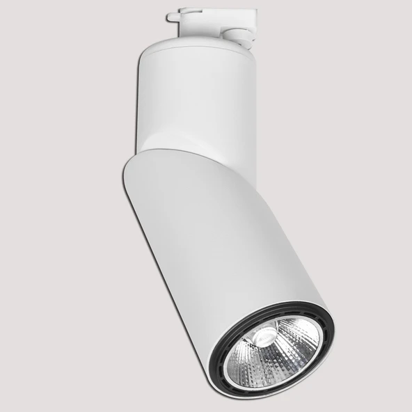 Dlc Ray Serisi NR150-2 50 W Ledli E27 Duy Yuvarlak Ray Spot 1 Adet Beyaz ürün görseli 1