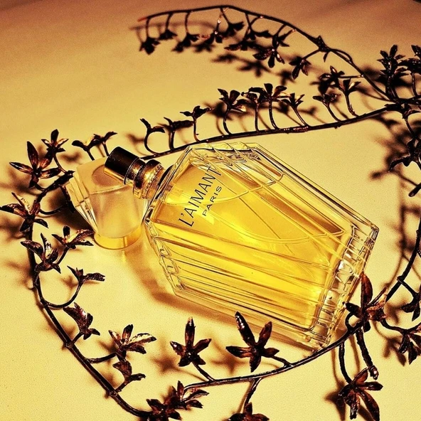 Coty L'Aimant EDT 50 ml Kadın Parfümü - Resim 3