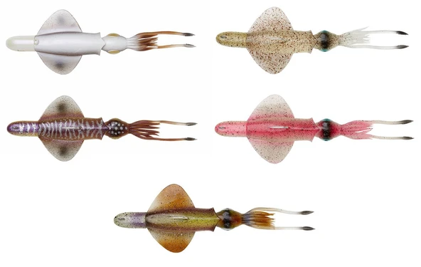 Savage Gear Swim Squid RTF 25cm 160gr Sahte Balık  Pink Glow ürün görseli 1