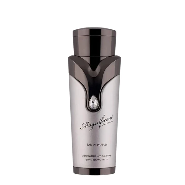 Armaf Magnificent Pour Homme EDP 100 ml Erkek Parfümü ürün görseli 1