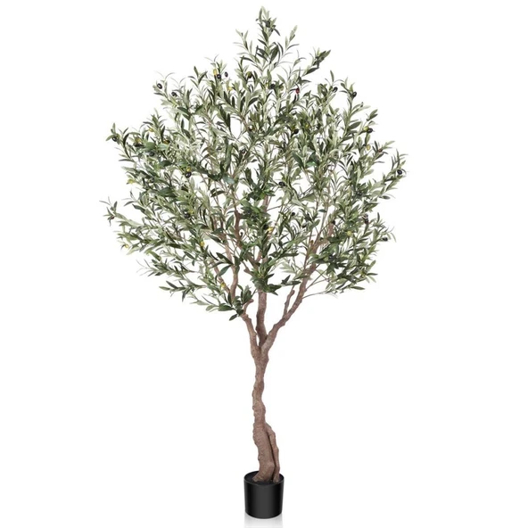 Yapay Zeytin Ağacı Doğal Kök Detaylı Büyük Dolgun Model Siyah Saksıda 190cm Yapay Ağaç ürün görseli 1