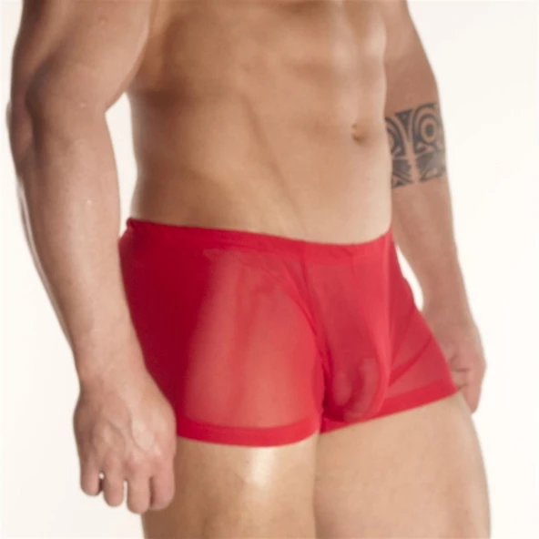 Don Moris DM080888 Erkek Boxer Çamaşır - Resim 2