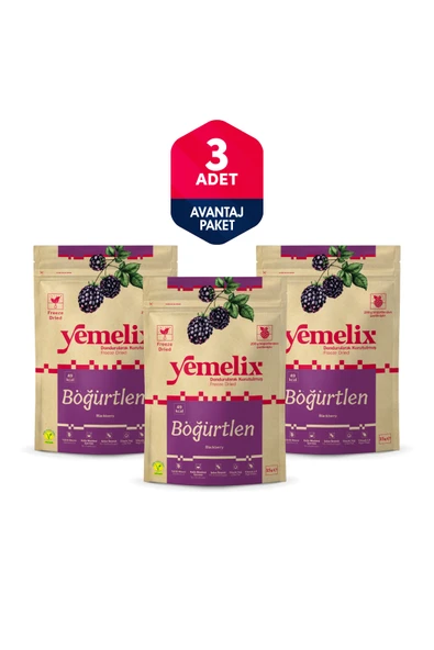Yemelix Freeze Dried 3'lü Avantaj Paketi Böğürtlen Kuru Meyve Cipsi - Dondurularak Kurutulmuş Böğürtlen 15Gx ürün görseli 1