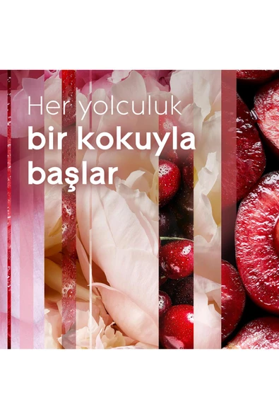 Glade Çubuklu Oda Kokusu Cherry Bloom 2'li Set 100 ml - Resim 4