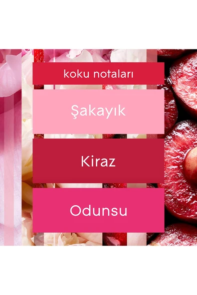 Glade Çubuklu Oda Kokusu Cherry Bloom 2'li Set 100 ml - Resim 6