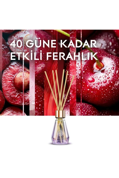 Glade Çubuklu Oda Kokusu Cherry Bloom 2'li Set 100 ml - Resim 3