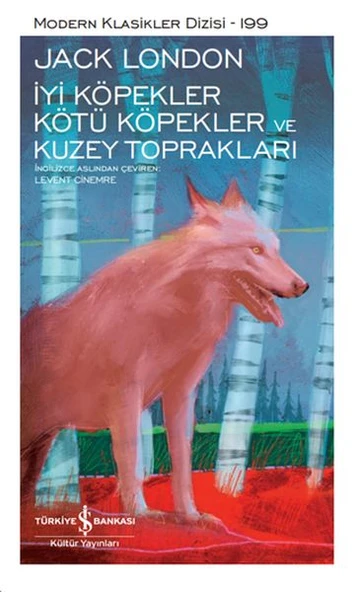 İyi Köpekler Kötü Köpekler ve Kuzey Toprakları - Modern Klasikler Dizisi ürün görseli 1