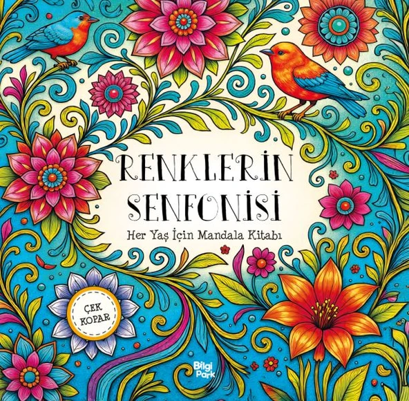 Renklerin Senfonisi – Her Yaş İçin Mandala - Çek Kopar ürün görseli 1