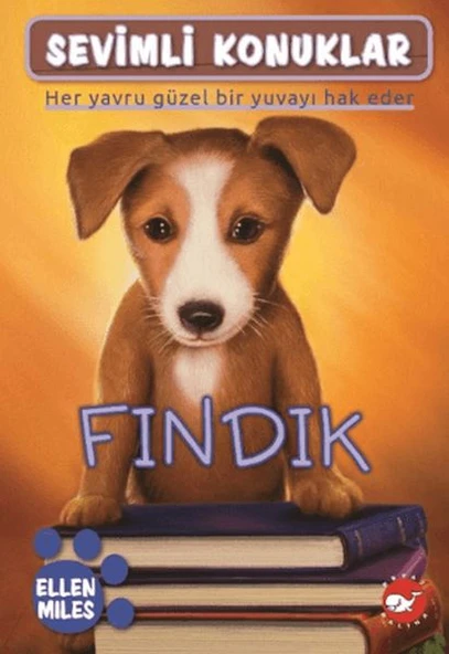 Sevimli Konuklar 5 - Fındık ürün görseli 1