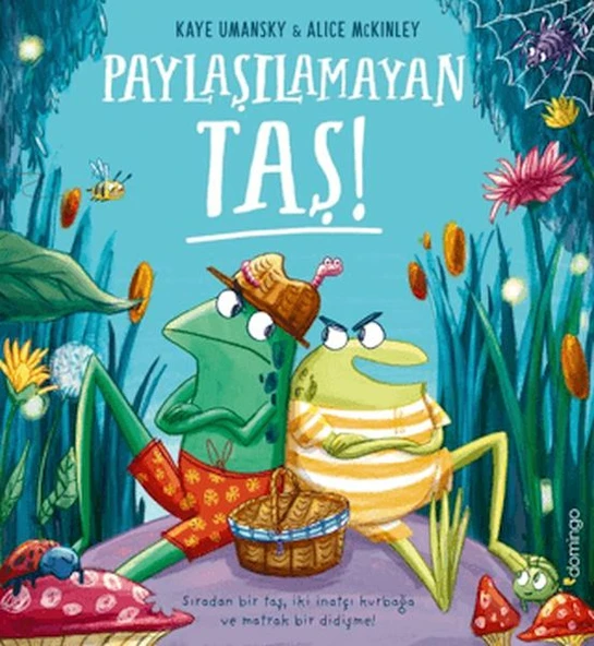 Paylaşılamayan Taş ürün görseli 1