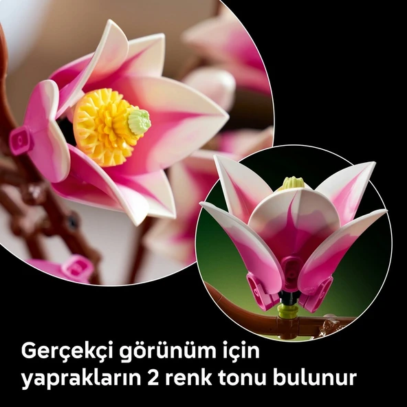 LEGO Botanicals Manolya Dalları 11510 - Resim 2