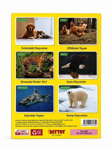 İlk 50 Hayvan Seti Flash Cards ürün görseli 1