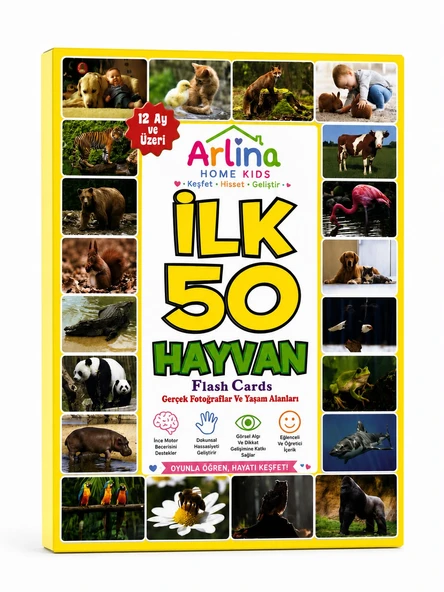 İlk 50 Hayvan Seti Flash Cards - Resim 2