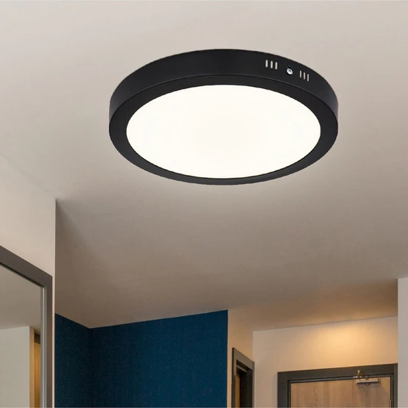 30 W Led Panel - Gün Işığı 3200k - Siyah Kasa - Yuvarlak - Sıva Üstü - Ct-5238g Diğer ürün görseli 1