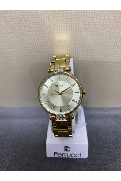 Ferrucci FERRUCCİ FC 0822 14197M.04 METAL KORDON KOL SAATİ ürün görseli 1