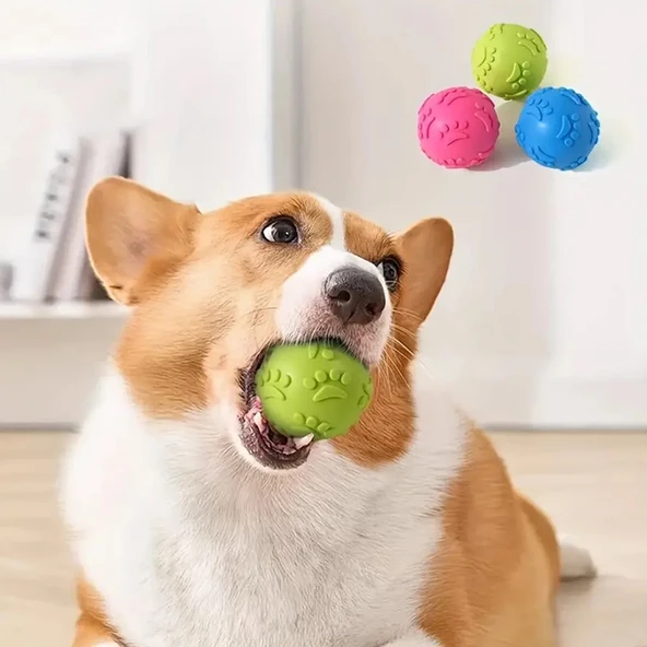 ETT Dayanıklı Pati Desenli Köpek Isırma Topu | Diş Sağlığı Destekleyici Çiğneme Oyuncağı ürün görseli 1