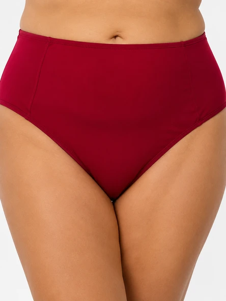 Büyük Beden Toparlayıcı Yüksek Bel Kadın Bikini Altı ürün görseli 1