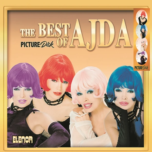 Ajda Pekkan - The Best of Ajda Pekkan (Picture Disc) - Plak 8693968228085 ürün görseli 1