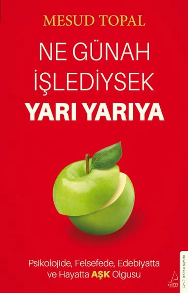 Ne Günah İşlediysek Yarı Yarıya ürün görseli 1