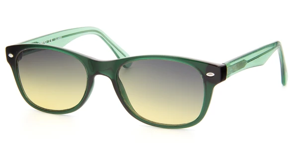 Swing SS134-CAS02 50 Unisex Güneş Gözlüğü ürün görseli 1