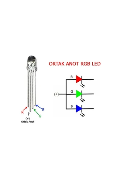 Rgb Led Ortak Anot 5 Adet 5mm - Resim 3