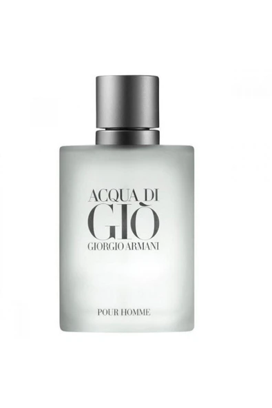 Armanı Acqua Dı Gıo Pour Homme Edt 100 Ml ürün görseli 1