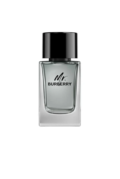 Mr Burberry Eau De Toilette Sprey Burberry 100 ml ürün görseli 1