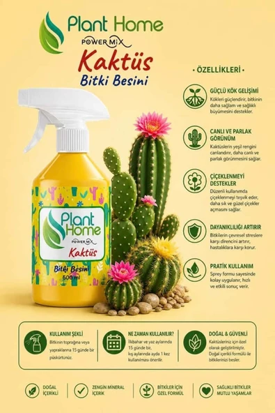 Kaktüs Bakımı / Kaktüslerde Güçlü Gövde Ve Kök Yapan Seri ürün görseli 1