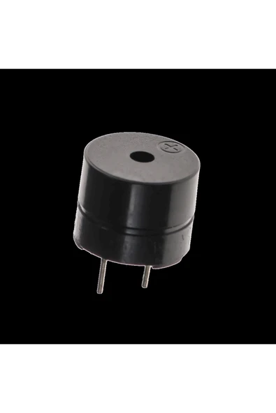 5-12V Aktif Sesli Buzzer (Pic- Arduino vb.) - Devreli ürün görseli 1