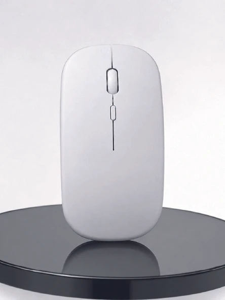 Profesyonel Kablosuz Bluetooth Mouse Çift Modlu Şarjlı Ergonomik Fare - Resim 2