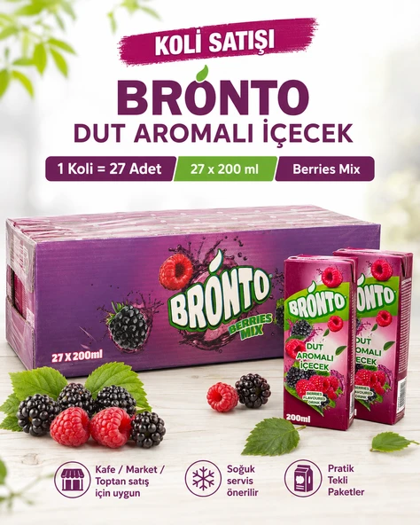 Bronto Dut Aromalı İçecek 200 ml x 27 Adet (Koli) ürün görseli 1