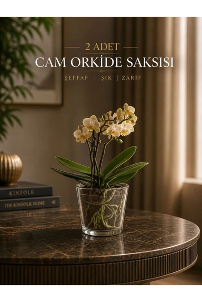 Orkide Cam Saksı Seti / Dekoratif Orkide Saksısı 2 adet ürün görseli 1