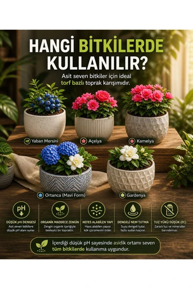 Düşük PH Torf Perlit Karışımı 5 LİTRE - Resim 2