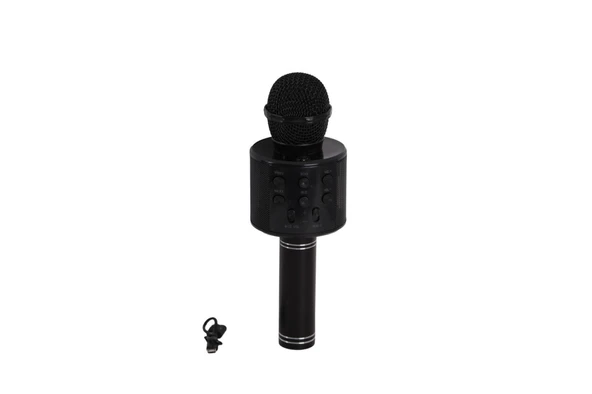 EMR-101 KUTULU KARAOKE MİKROFON - Resim 3