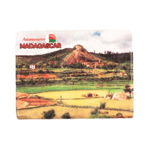 Madagaskar Temalı Taş Magnet ürün görseli 1