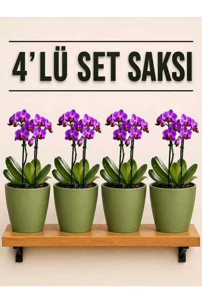 4 Lü Koyu Yeşil Renk Orkide Saksısı ürün görseli 1