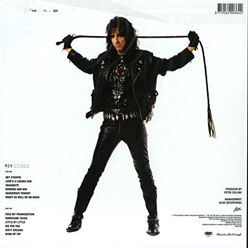 Alice Cooper - Hey Stoopid - Plak - Resim 2