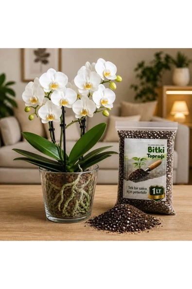 12 Pot Cam Orkide Saksısı & 1 Litre Bitki Toprağı set ürün görseli 1