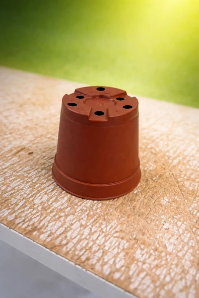 5CM Bitki Üretim Saksısı 10 Adet - Resim 4