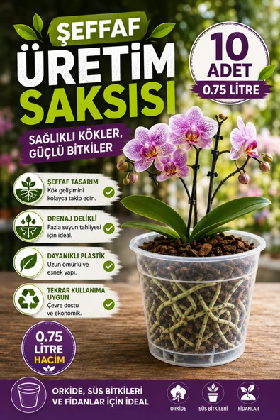 10 ADET ORKİDE ÜRETİM SAKSISI -ŞEFFAF (12 POT) ürün görseli 1