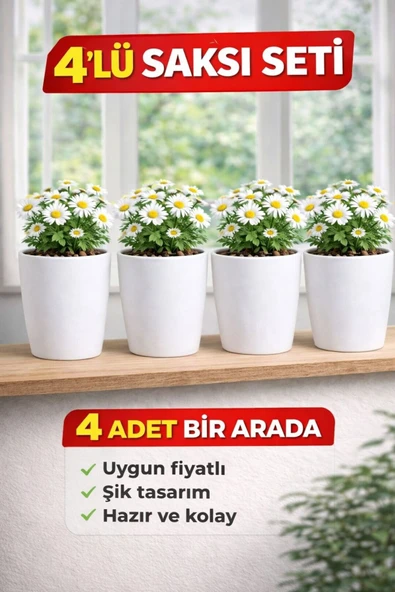 4 Adet Beyaz Orkide Saksısı - Set Fiyatlı ürün görseli 1
