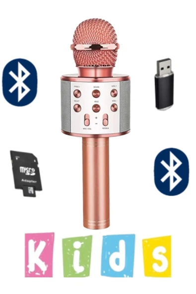 Bluetooth bağlantılı pembe karaoke mikrofon dahili hoparlör usb tf kart destekli çocuk ürün görseli 1