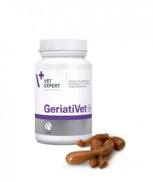 GeriatriVet Cat 60 Kapsül Yaşlı Kedi Sağlık Kompleksi (Eklem Güçlendirici, Böbrek & Kalp Desteği, Demans Önleyici) ürün görseli 1